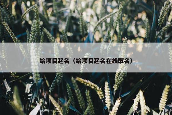 给项目起名（给项目起名在线取名）