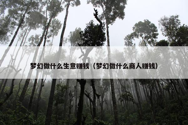 梦幻做什么生意赚钱（梦幻做什么商人赚钱）