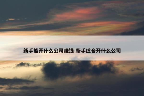 新手能开什么公司赚钱 新手适合开什么公司