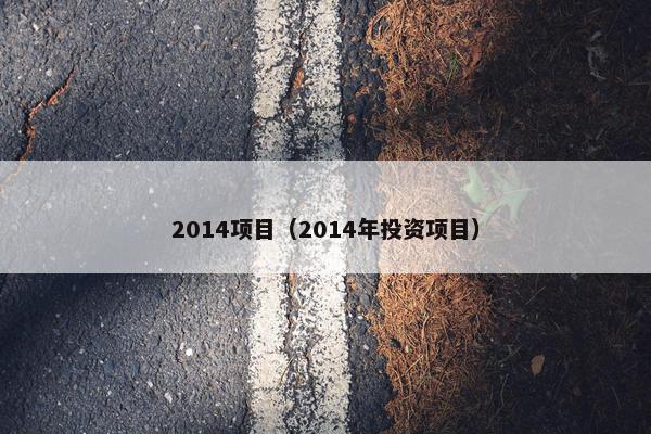 2014项目（2014年投资项目）