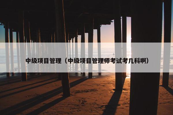 中级项目管理（中级项目管理师考试考几科啊）