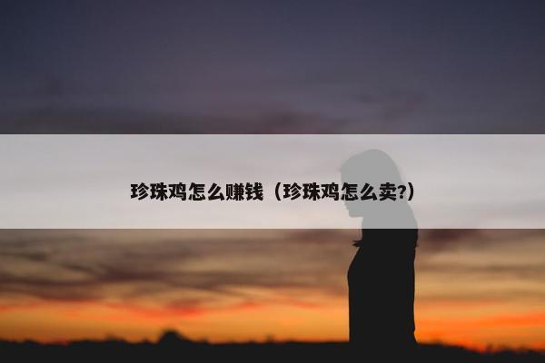 珍珠鸡怎么赚钱（珍珠鸡怎么卖?）