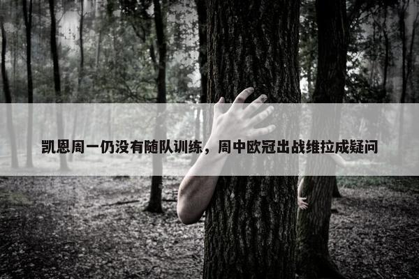 凯恩周一仍没有随队训练，周中欧冠出战维拉成疑问