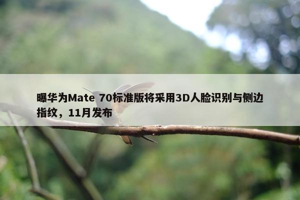 曝华为Mate 70标准版将采用3D人脸识别与侧边指纹，11月发布