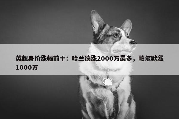 英超身价涨幅前十：哈兰德涨2000万最多，帕尔默涨1000万