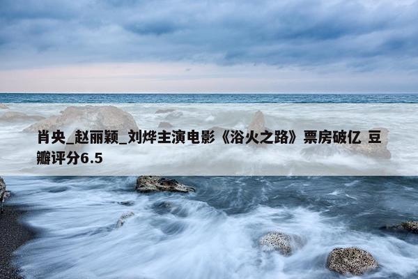 肖央_赵丽颖_刘烨主演电影《浴火之路》票房破亿 豆瓣评分6.5