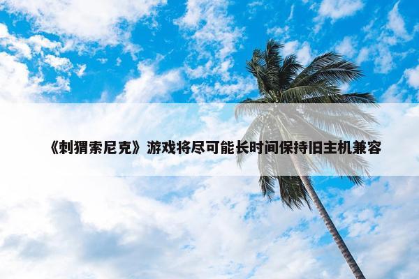 《刺猬索尼克》游戏将尽可能长时间保持旧主机兼容