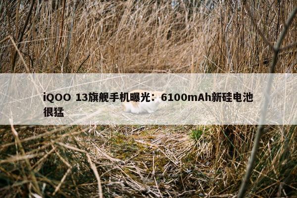 iQOO 13旗舰手机曝光：6100mAh新硅电池很猛