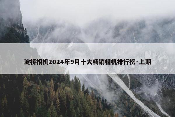 淀桥相机2024年9月十大畅销相机排行榜·上期