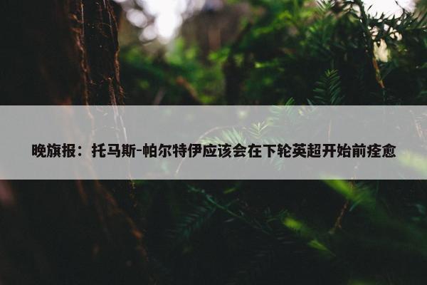 晚旗报：托马斯-帕尔特伊应该会在下轮英超开始前痊愈