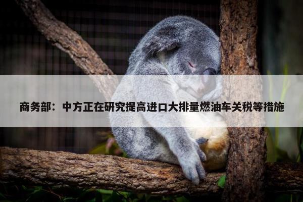 商务部：中方正在研究提高进口大排量燃油车关税等措施