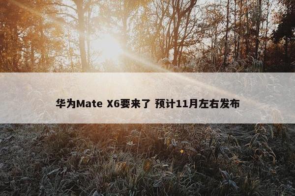 华为Mate X6要来了 预计11月左右发布