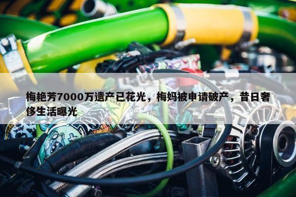 梅艳芳7000万遗产已花光，梅妈被申请破产，昔日奢侈生活曝光