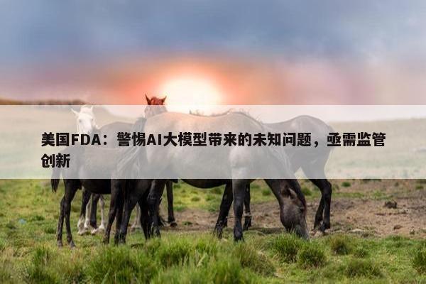 美国FDA：警惕AI大模型带来的未知问题，亟需监管创新