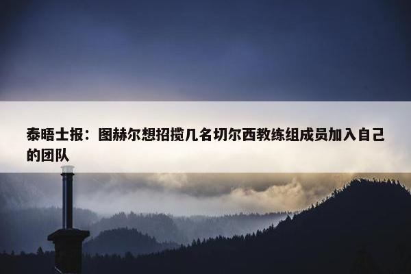 泰晤士报：图赫尔想招揽几名切尔西教练组成员加入自己的团队