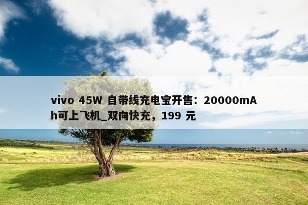 vivo 45W 自带线充电宝开售：20000mAh可上飞机_双向快充，199 元