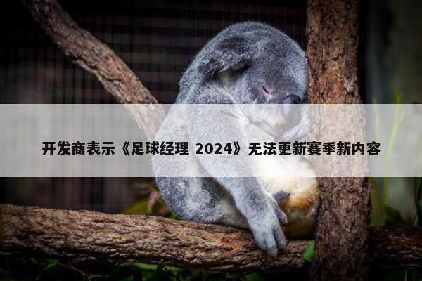 开发商表示《足球经理 2024》无法更新赛季新内容