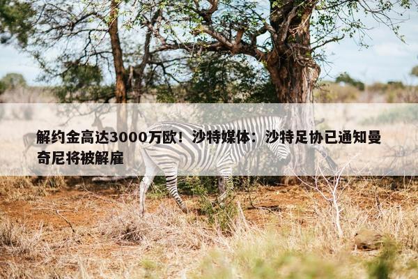 解约金高达3000万欧！沙特媒体：沙特足协已通知曼奇尼将被解雇