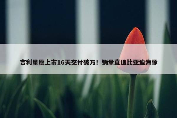 吉利星愿上市16天交付破万！销量直追比亚迪海豚