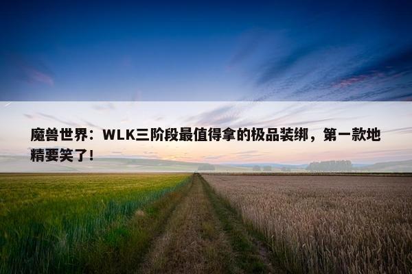 魔兽世界：WLK三阶段最值得拿的极品装绑，第一款地精要笑了！