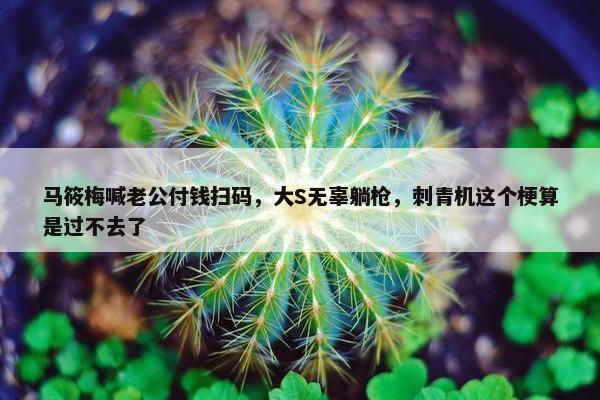 马筱梅喊老公付钱扫码，大S无辜躺枪，刺青机这个梗算是过不去了