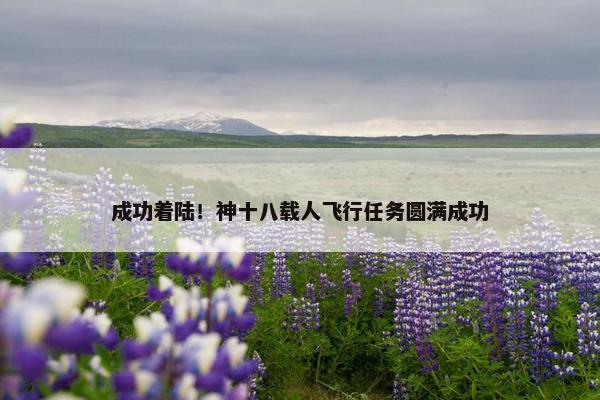 成功着陆！神十八载人飞行任务圆满成功