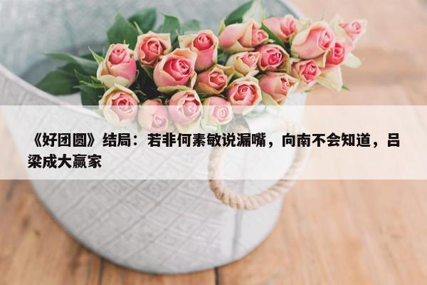 《好团圆》结局：若非何素敏说漏嘴，向南不会知道，吕梁成大赢家