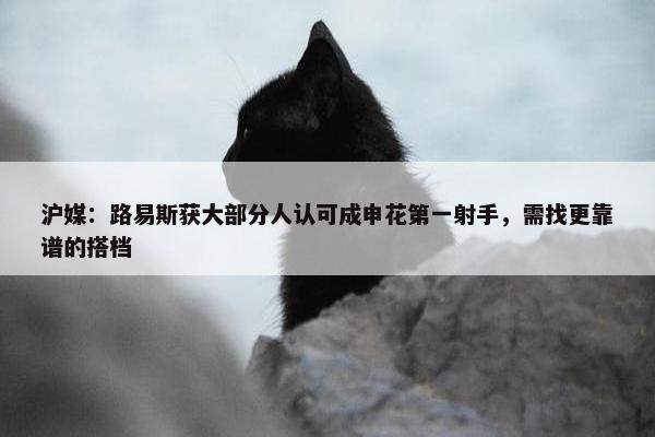 沪媒：路易斯获大部分人认可成申花第一射手，需找更靠谱的搭档