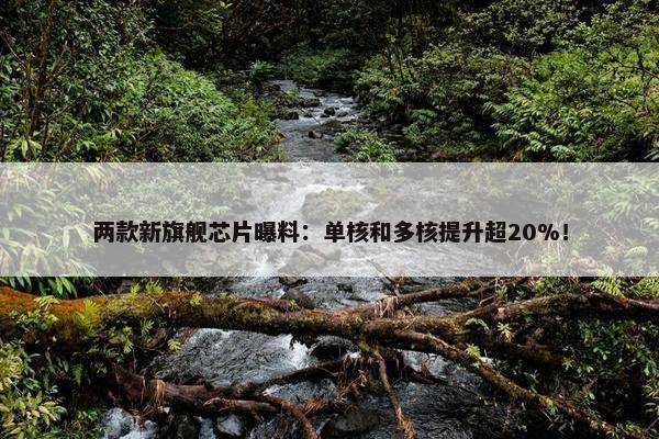 两款新旗舰芯片曝料：单核和多核提升超20%！