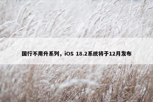 国行不用升系列，iOS 18.2系统将于12月发布