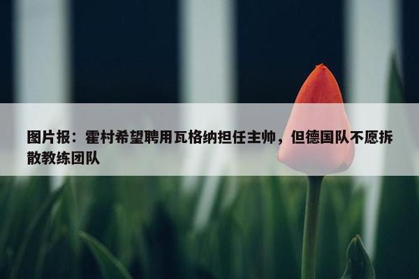 图片报：霍村希望聘用瓦格纳担任主帅，但德国队不愿拆散教练团队