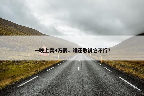 一晚上卖3万辆，谁还敢说它不行？