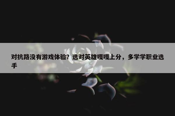 对抗路没有游戏体验？选对英雄嘎嘎上分，多学学职业选手