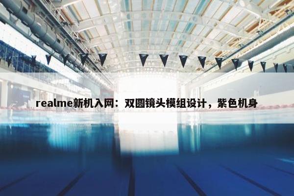 realme新机入网：双圆镜头模组设计，紫色机身