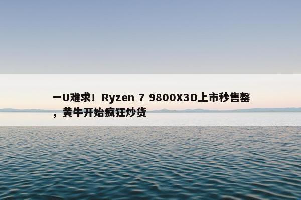 一U难求！Ryzen 7 9800X3D上市秒售罄，黄牛开始疯狂炒货