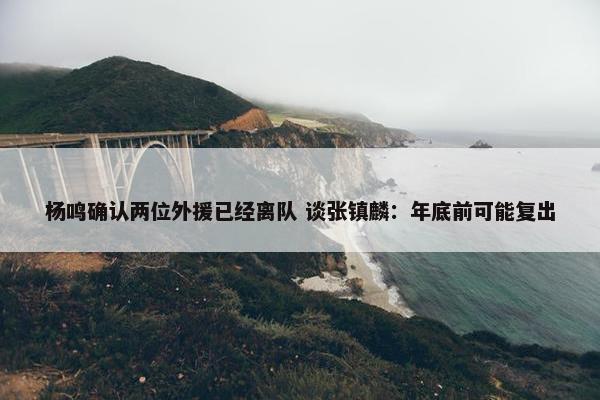 杨鸣确认两位外援已经离队 谈张镇麟：年底前可能复出