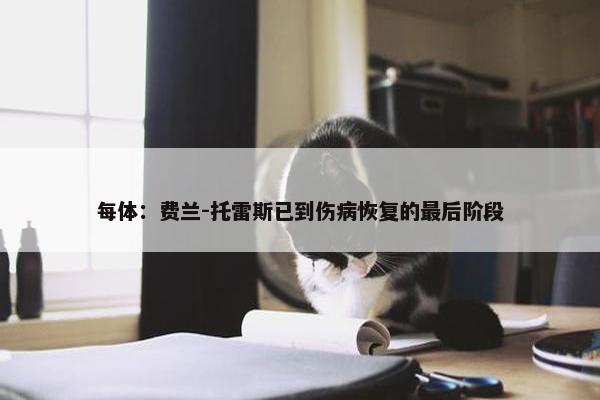 每体：费兰-托雷斯已到伤病恢复的最后阶段