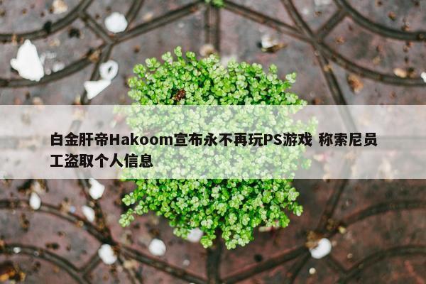 白金肝帝Hakoom宣布永不再玩PS游戏 称索尼员工盗取个人信息