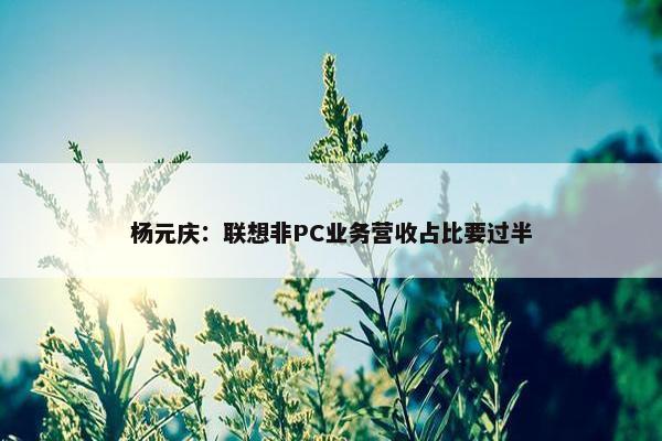 杨元庆：联想非PC业务营收占比要过半