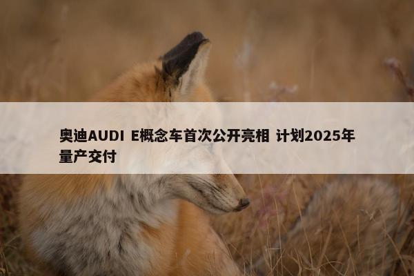 奥迪AUDI E概念车首次公开亮相 计划2025年量产交付