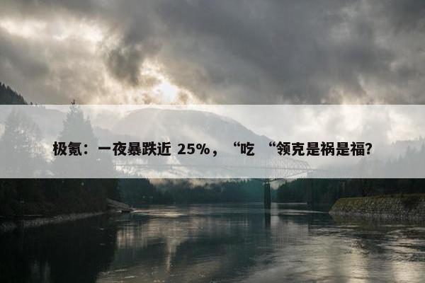 极氪：一夜暴跌近 25%，“吃 “领克是祸是福？