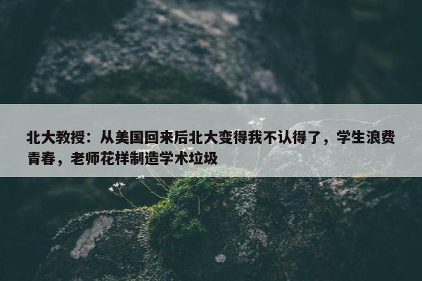 北大教授：从美国回来后北大变得我不认得了，学生浪费青春，老师花样制造学术垃圾