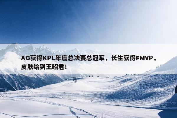 AG获得KPL年度总决赛总冠军，长生获得FMVP，皮肤给到王昭君！