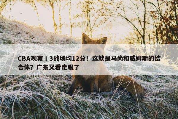 CBA观察丨3战场均12分！这就是马尚和威姆斯的结合体？广东又看走眼了