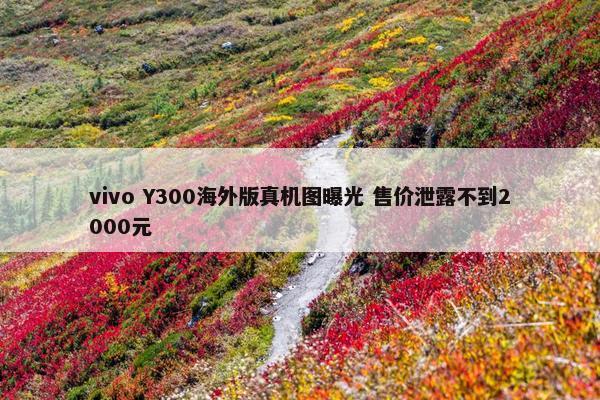 vivo Y300海外版真机图曝光 售价泄露不到2000元