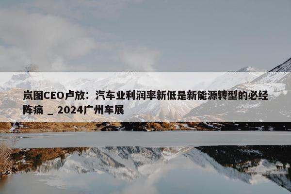 岚图CEO卢放：汽车业利润率新低是新能源转型的必经阵痛 _ 2024广州车展