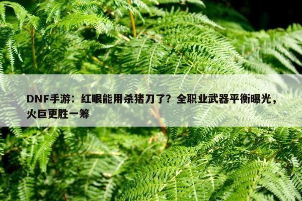 DNF手游：红眼能用杀猪刀了？全职业武器平衡曝光，火巨更胜一筹