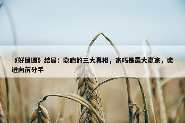 《好团圆》结局：隐晦的三大真相，家巧是最大赢家，柴进向前分手