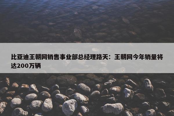 比亚迪王朝网销售事业部总经理路天：王朝网今年销量将达200万辆