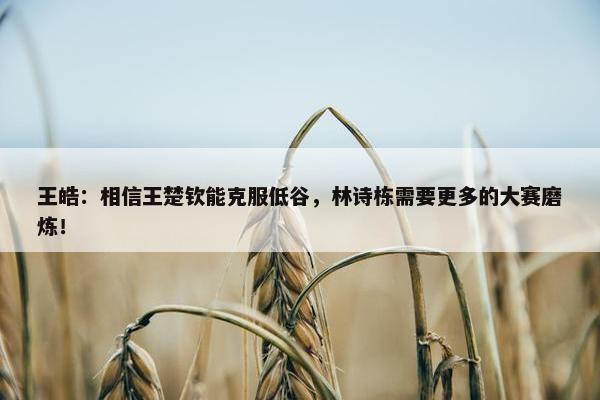 王皓：相信王楚钦能克服低谷，林诗栋需要更多的大赛磨炼！